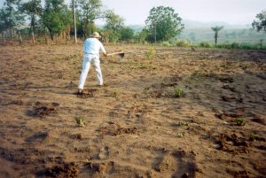Embrapa começa a mapear o solo brasileiro; trabalho será feito em 30 anos