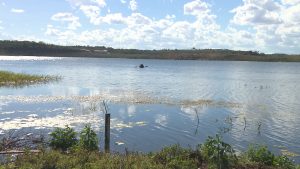 Cagepa flagra furto de água do Açude de Boqueirão em Campina Grande