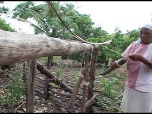 Comunidade quilombola da Paraíba recebe imissão de posse