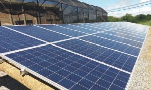 Energia solar: linha de crédito vai financiar projetos de até R$ 100 mil