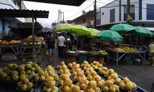 Prefeitura lança plataforma de cadastro e venda para feirantes de Campina Grande