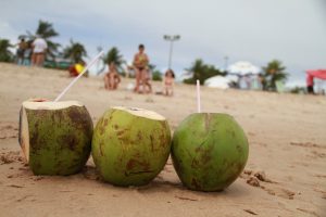 Uso de canudos plásticos em bares e restaurante será proibido em 120 dias na Paraíba