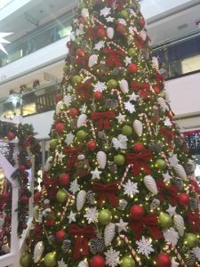 Árvores de Natal custam entre R$ 15 e R$ 700 em João Pessoa; veja pesquisa