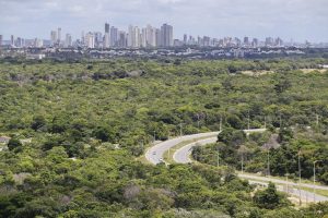 Mesmo sem título de 2ª cidade mais verde do mundo, capital é sinônimo de meio ambiente