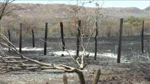Inmet emite alertas para risco de incêndio em 108 municípios da Paraíba