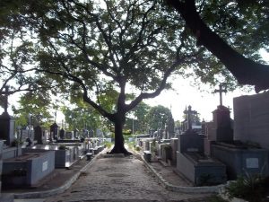 Dia de Finados: seis cemitérios de João Pessoa vão abrir para visitações