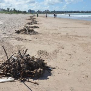 Secretário de Meio Ambiente suspeita que lixo nas praias da PB saiu de PE
