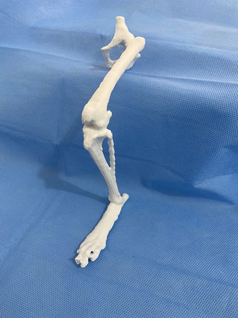 Impressora 3D otimiza cirurgias em animais no Hospital Veterinário da UFCG, no Sertão