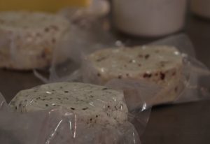 Parada em Soledade: venda de produtos artesanais tem alta na pandemia e produção de queijos de cabra segue tendência
