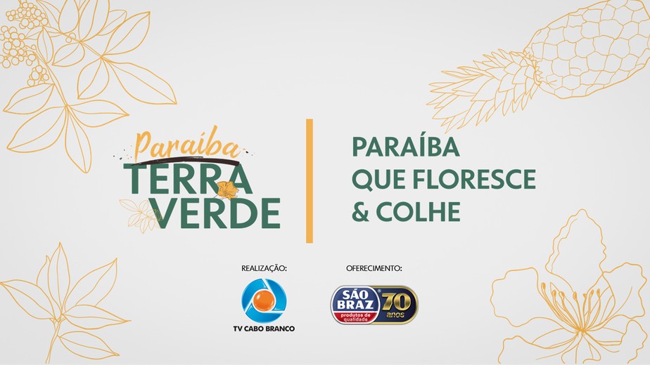 Projeto 'Paraíba Terra Verde' distribui mudas nativas em Cabedelo, neste sábado (11)