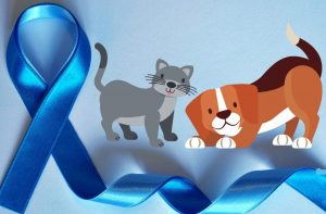 Novembro Azul Pet – animais também podem sofrer com câncer de próstata