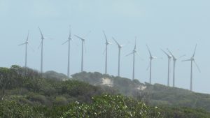 Município de Mataraca poderá cobrar taxa de empresas de energia eólica, decide TJPB