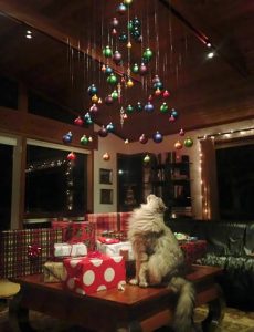 Como manter a decoração de Natal em casas com cães e gatos?