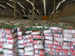 TCU investiga fraude e ‘laranjas’ em empresas que forneceram cestas básicas do Governo Bolsonaro para a Paraíba