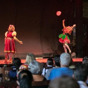 Resistência lúdica: família comemora o Dia do Circo pedindo mais valorização da arte