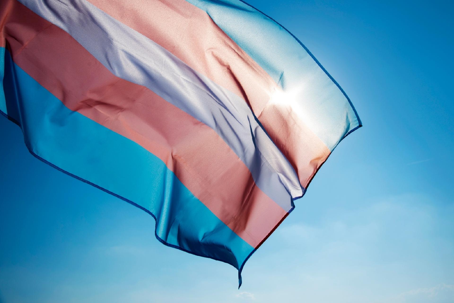 Dia do Orgulho LGBT+: entenda cada letra da sigla e quais as diferenças entre gênero e orientação sexual