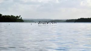 Águas de rios da mata atlântica na PB não têm boa qualidade, diz SOS Mata Atlântica