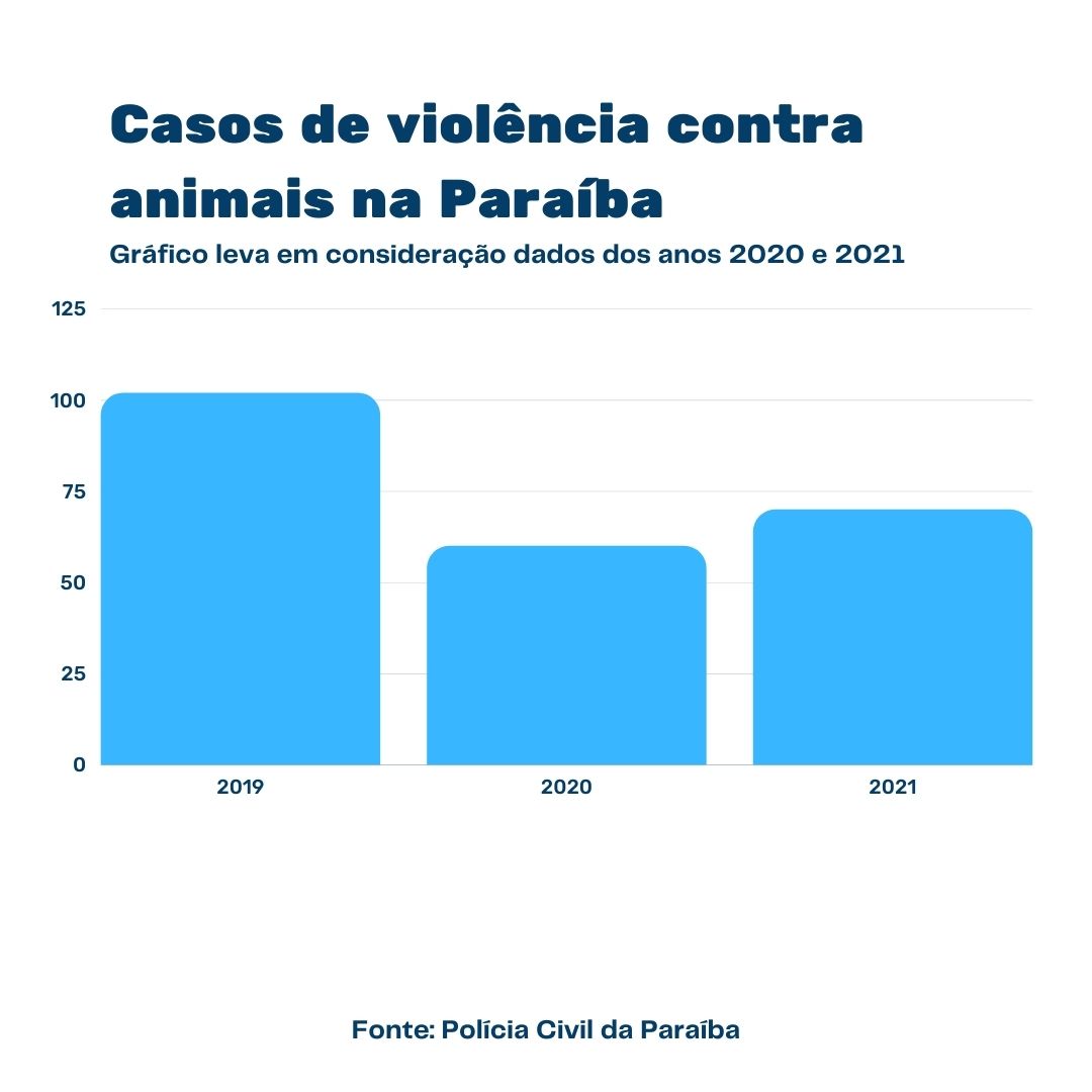 Casos de violência contra animais aumentam em 20% em um ano, na Paraíba