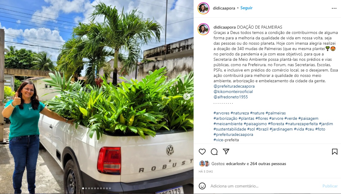 Vice-prefeita da Paraíba faz doação de 340 mudas de palmeiras cultivadas na pandemia