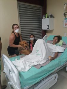 Hospital de Trauma de João Pessoa retoma terapia com cães para ajudar na recuperação de pacientes