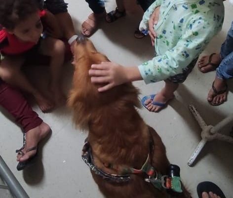 Hospital de Trauma de João Pessoa retoma terapia com cães para ajudar na recuperação de pacientes