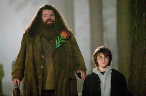 Morre Robbie Coltrane, intérprete de Hagrid em ‘Harry Potter’