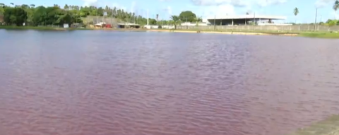 Moradores da região de Três Lagoas denunciam contaminação da água