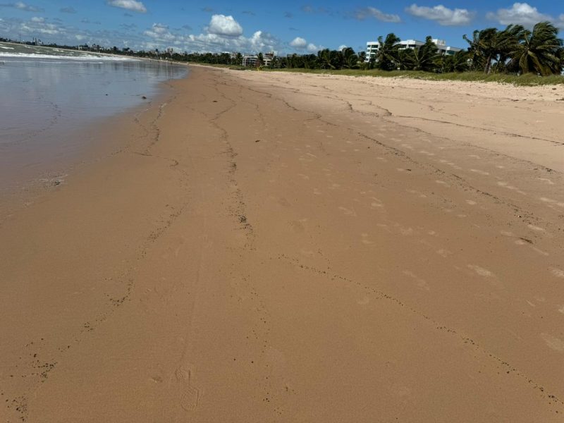 Banhista encontra manchas de óleo em praias de Cabedelo, na Paraíba.