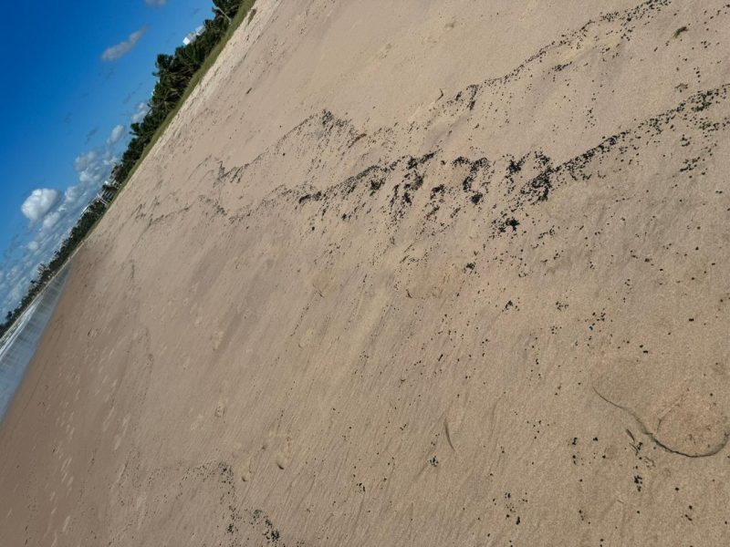 Manchas de óleo são encontradas em praias da Paraíba